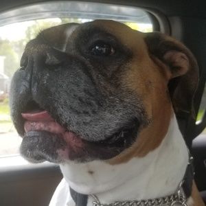 Meet your Posher, Lorraine